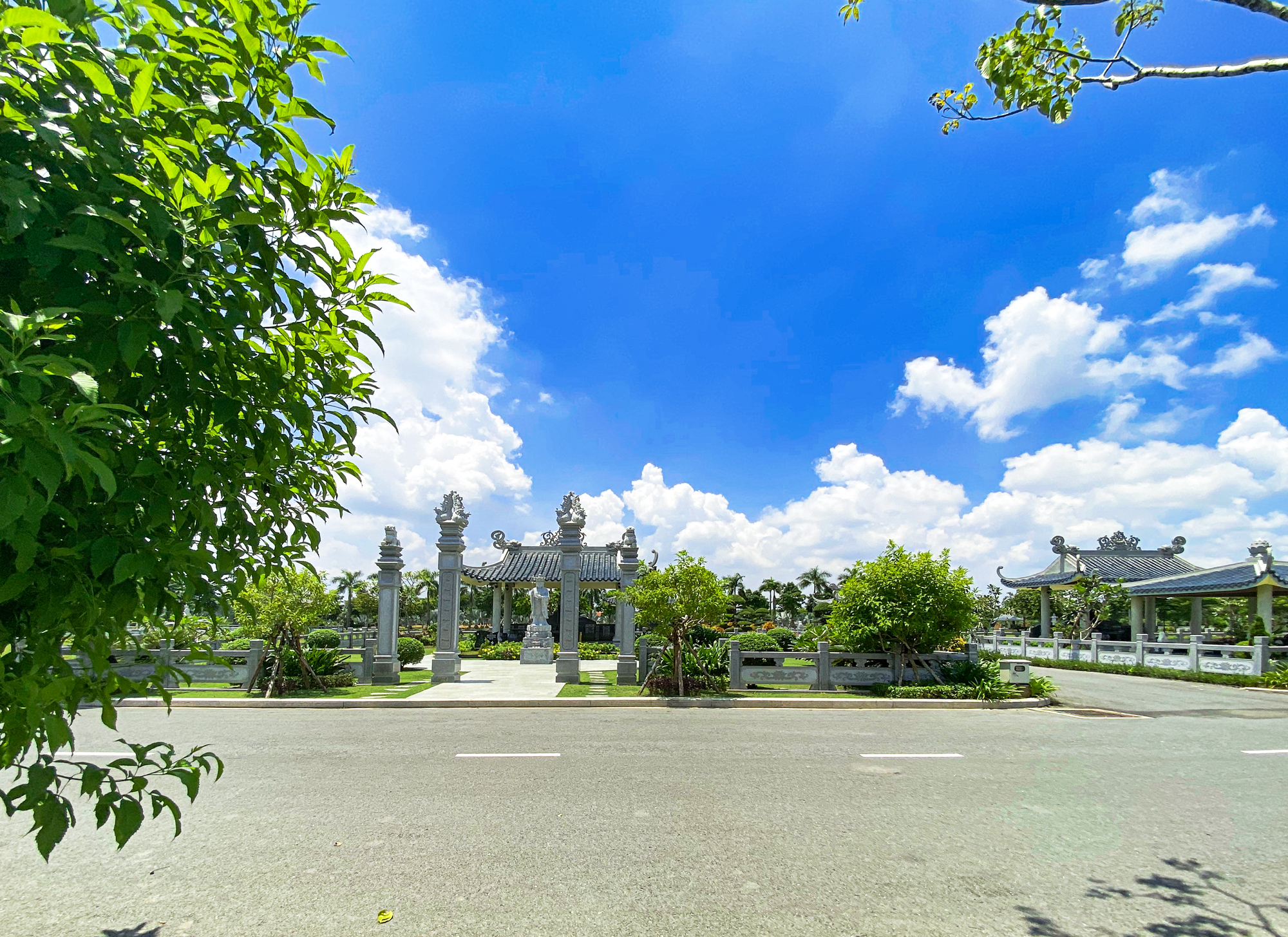 Mộ Gia Tộc